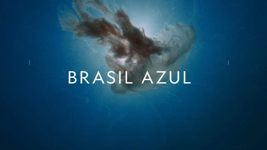 Brasil-Azul-Disney-Plus-1024x576 Lançamentos de Novembro no Disney+ | Lista Completa e Atualizada