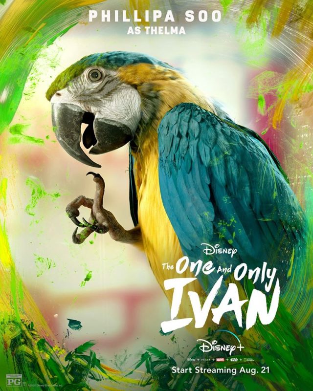 O-Grande-Ivan-Thelma O Grande Ivan: Filme com Bryan Cranston ganha novo clipe, confira!