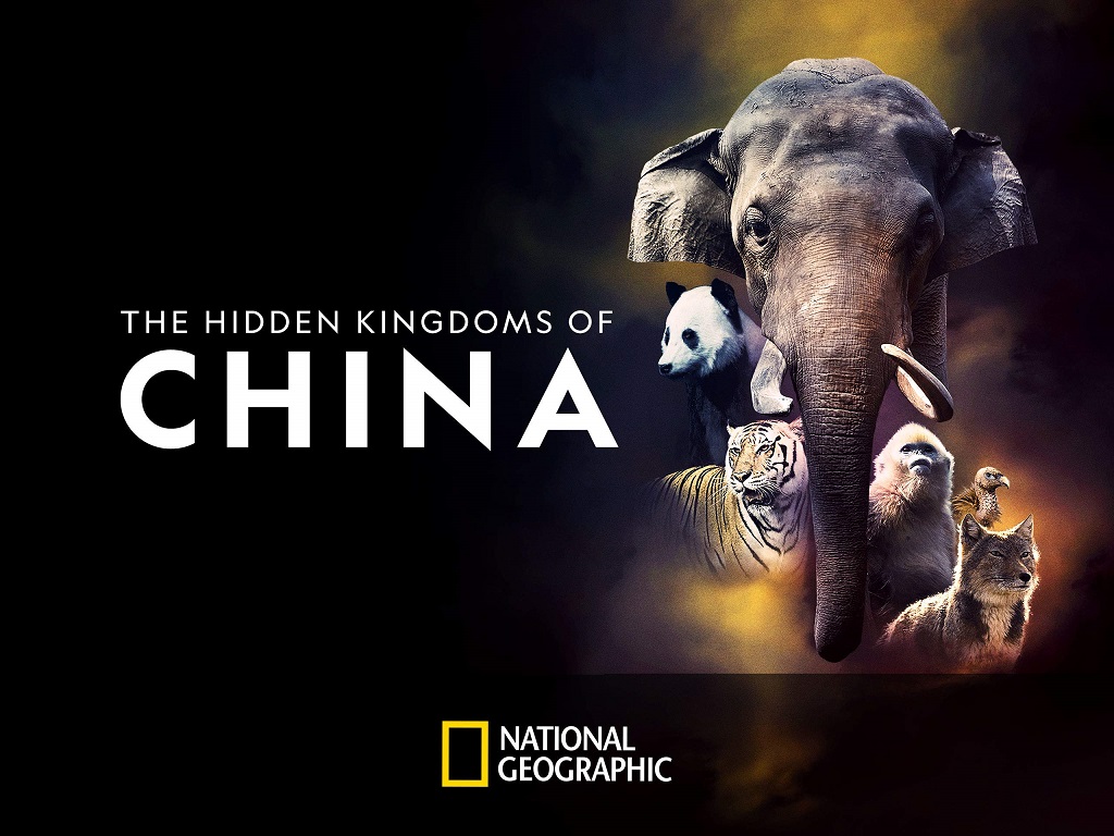Reinos-ocultos-da-China Lançamentos da semana | Confira os novos filmes e séries do Disney+