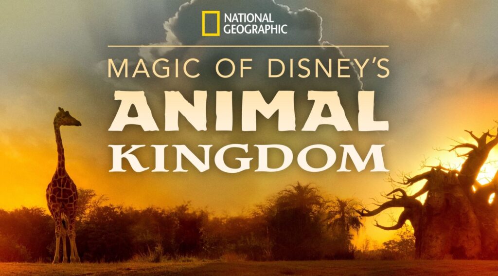 a-magia-do-animal-kingdom-disney-plus-national-geographic-capa-1024x567 'A Magia do Animal Kingdom' chega em 25 de setembro no Disney+