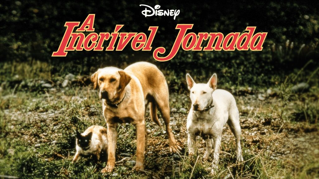 A-Incrivel-Jornada-1963-1024x576 15 Filmes Incríveis com Cachorros no Disney Plus para rir e se emocionar