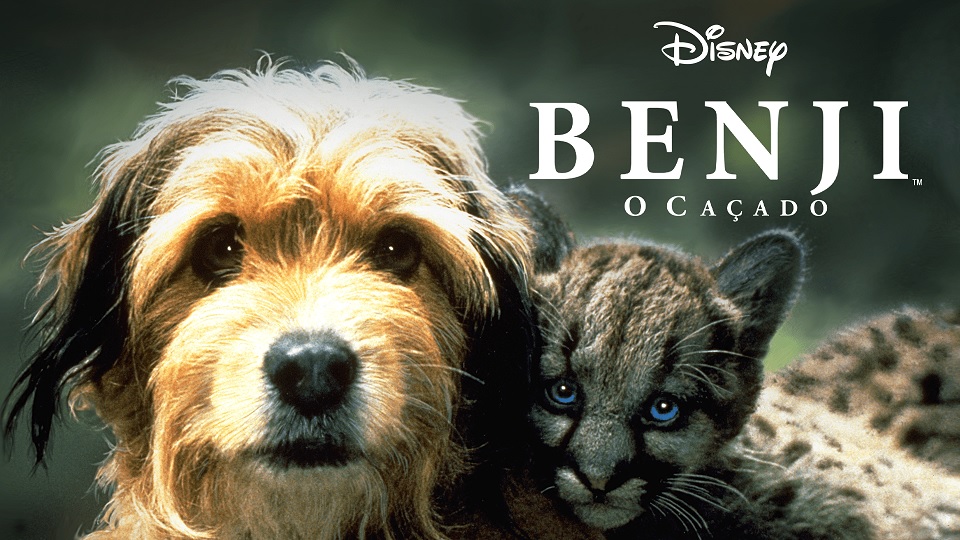 Benji-O-Cacado 15 Filmes Incríveis com Cachorros no Disney Plus para rir e se emocionar