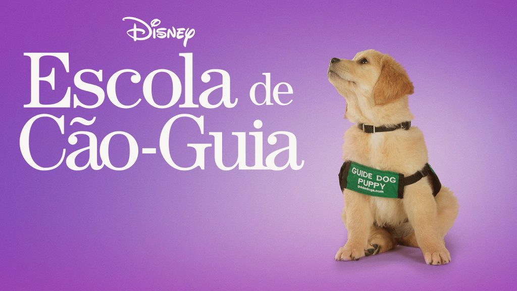 Escola-de-Cao-Guia-1024x576 15 Filmes Incríveis com Cachorros no Disney Plus para rir e se emocionar