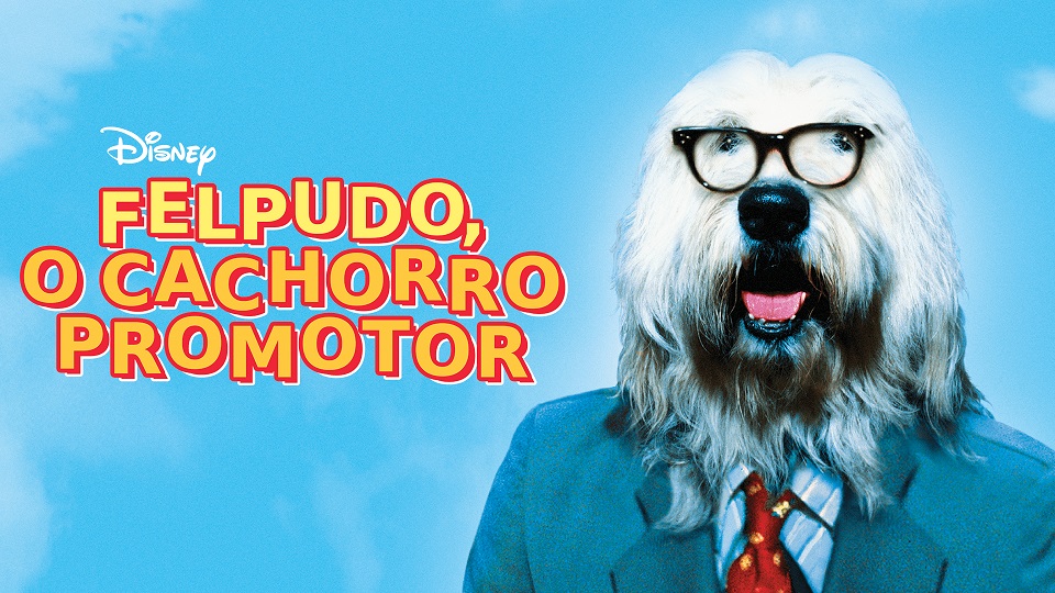 Felpudo-o-Cachorro-Promotor 15 Filmes Incríveis com Cachorros no Disney Plus para rir e se emocionar