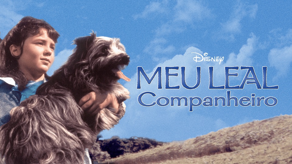 Meu-Leal-Companheiro 15 Filmes Incríveis com Cachorros no Disney Plus para rir e se emocionar