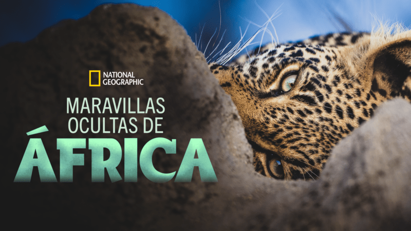 Maravilhas-Ocultas-da-Africa Esses São os 9 Lançamentos Desta Sexta-feira no Disney+ (12/02/21)