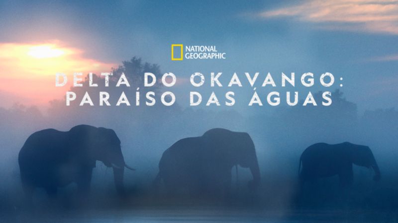 Delta-do-Okavango-Paraiso-das-Aguas-Disney-Plus Lançamentos do Disney+ Hoje (02/04) | Confira a Lista Completa