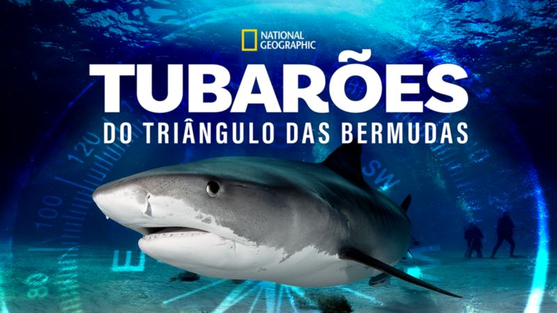 Tubaroes-do-Triangulo-das-Bermudas-Disney-Plus Lançamentos do Disney+ Hoje (02/04) | Confira a Lista Completa