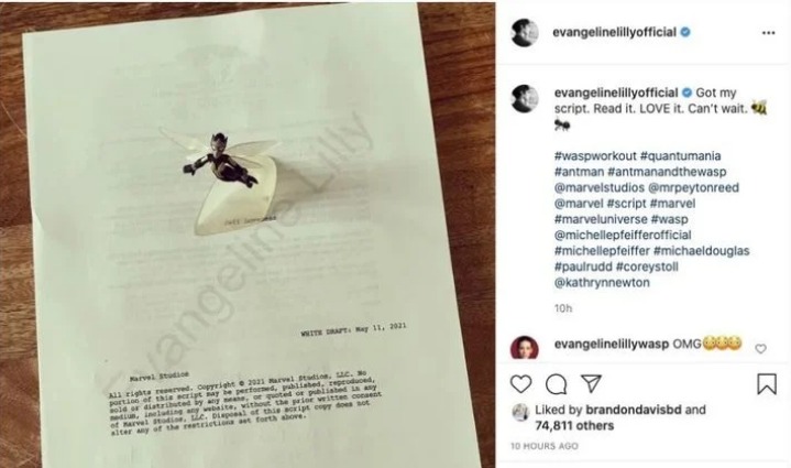 script-homem-formiga-3 Sem querer, Evangeline Lilly pode ter confirmado importante retorno em Quantumania