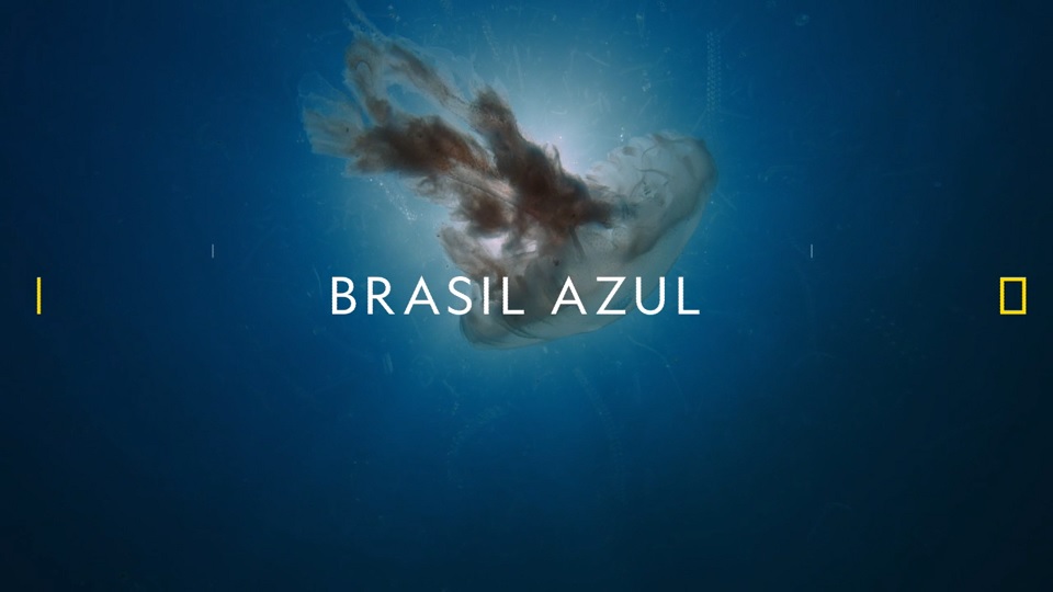 Brasil-Azul-DisneyPlus Veja tudo o que chega ao Disney+ nesta semana (19 a 25/07)