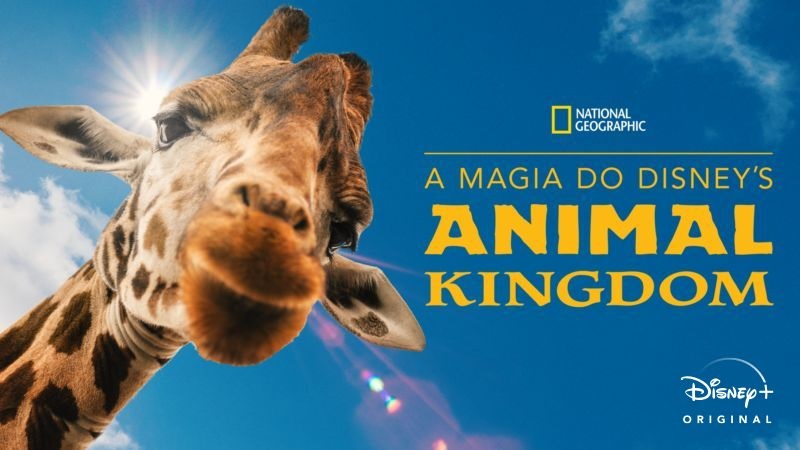 A-Magia-do-Disneys-Animal-Kingdom Disney+ lança mais 3 conteúdos da Marvel e novos episódios de Bluey