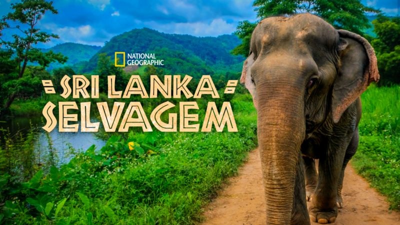 Sri-Lanka-Selvagem-NatGeo Os 20 Melhores Documentários da National Geographic no Disney+