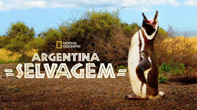Argentina-Selvagem-DisneyPlus A Vida de Dug é o destaque entre as estreias desta quarta no Disney+; Veja a lista