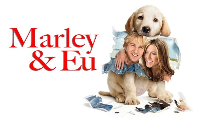 Marley-e-Eu-Disney-Plus Disney+ e Star+ removem filmes, incluindo um dos mais aclamados da história do cinema