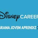 Disney Inicia Programa Jovem Aprendiz 2022 no Brasil