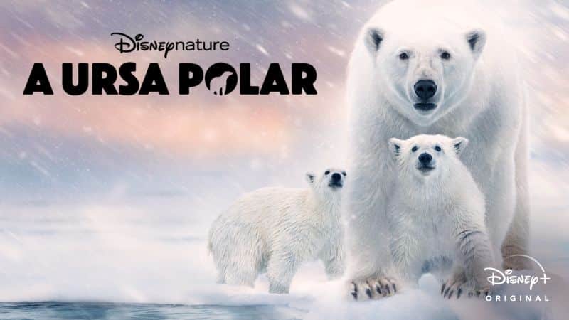 A-Ursa-Polar-Disney-Plus Chegaram os lançamentos do Dia da Terra e especial de 'Os Simpsons' no Disney+
