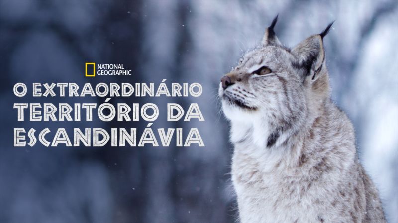 O-Extraordinario-Territorio-da-Escandinavia-Disney-Plus 'Histórias do Scrat' e 3º episódio de 'Cavaleiro da Lua' chegaram ao Disney+