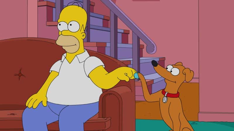 Os-Simpsons-T33-Episodio-13-Star-Plus 'Bel-Air' e 4 edições de 'Real Housewives' são os destaques de hoje no Star+