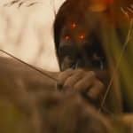 Prey: spin-off de 'Predador' ganha trailer e data de estreia por streaming