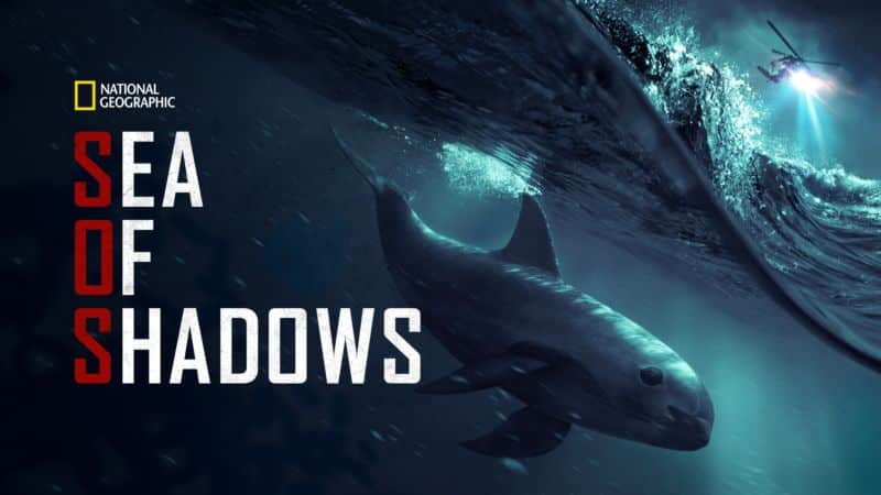 Sea-of-Shadows-Star-Plus O Star+ adicionou mais 5 títulos, incluindo 'La La Land: Cantando Estações'