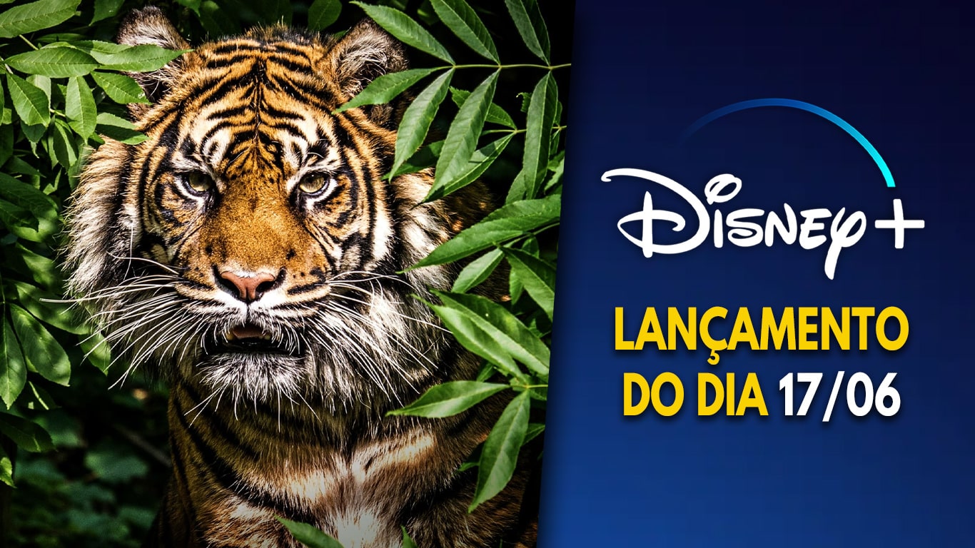 Lancamentos-Star-Plus-17-06-2022-2 'Felinos da Tailândia' estreou sozinho hoje no Disney+