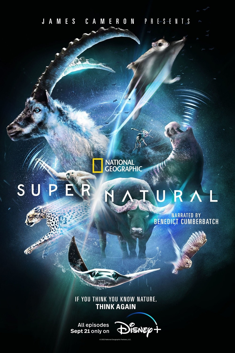 Super-Natural-Poster-Disney-Plus Conheça 'Super/Natural', nova série de James Cameron com Benedict Cumberbatch do Disney+