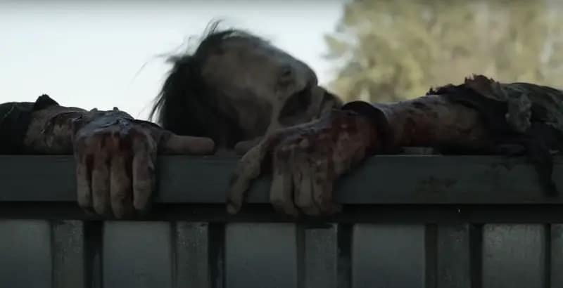 Zumbi-subindo-na-cerca-em-The-Walking-Dead Últimos episódios de 'The Walking Dead' vão explicar zumbis inteligentes da 1ª temporada