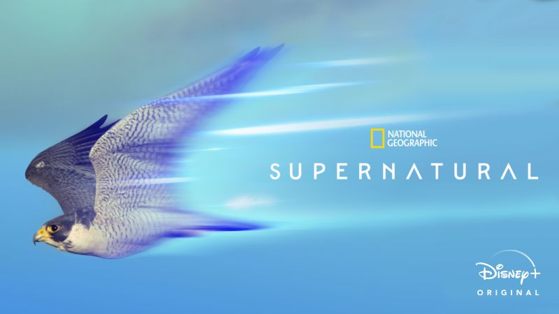 SuperNatural-Disney-Plus Os 20 Melhores Documentários da National Geographic no Disney+