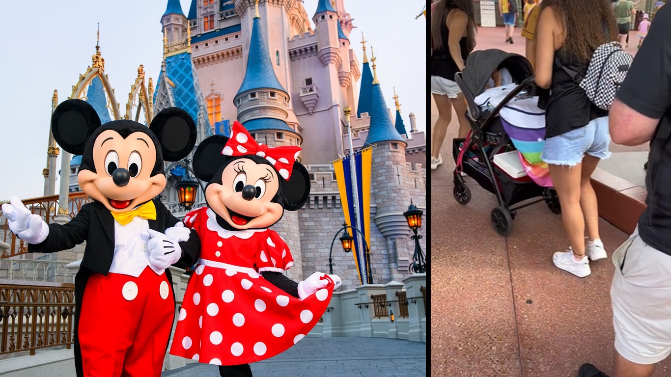 Walt-Disney-World Família é flagrada escondendo criança em carrinho para não pagar ingresso na Disney
