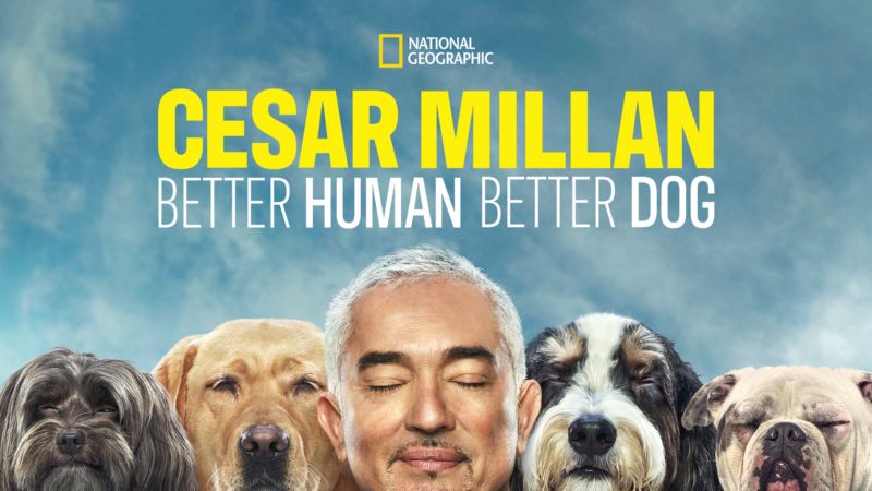 Cesar-Millan-Melhores-Humanos-Melhores-Cachorros-Disney-Plus As 15 melhores séries live-action para assistir no Disney+