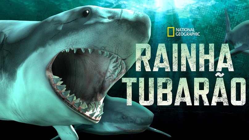 Rainha-Tubarao-Disney-Plus Disney+ lança especial de Idina Menzel e 14 documentários sobre Tubarões