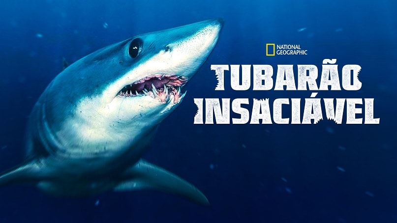Tubarao-Insaciavel-Disney-Plus Disney+ lança especial de Idina Menzel e 14 documentários sobre Tubarões