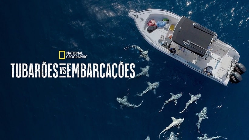 Tubaroes-vs.-Embarcacoes-Disney-Plus Disney+ lança especial de Idina Menzel e 14 documentários sobre Tubarões
