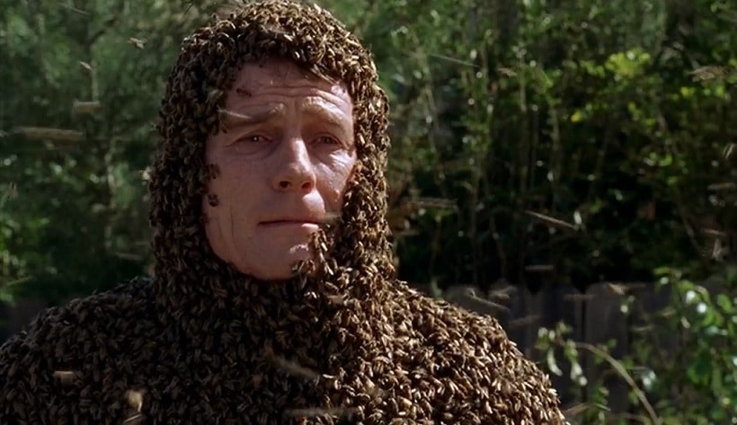 Bryan-Cranston-coberto-de-abelhas-em-Malcolm Bryan Cranston revela sua ideia para revival de 'Malcolm'