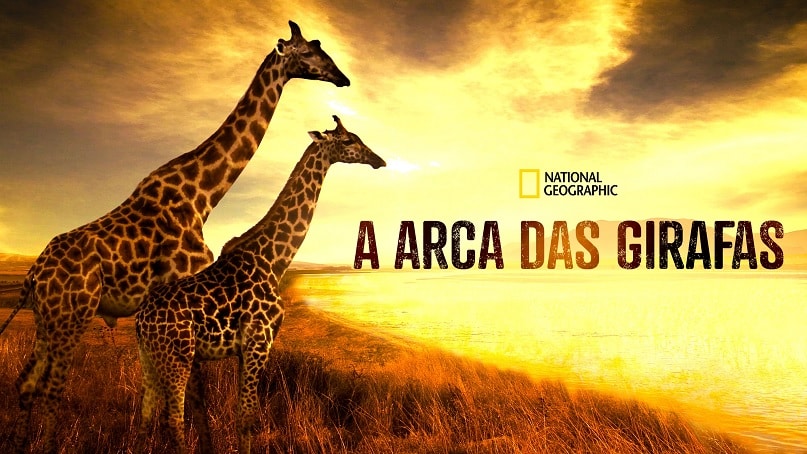 A-Arca-das-Girafas-Disney-Plus A Arca das Girafas: Disney+ lança documentário da Nat Geo