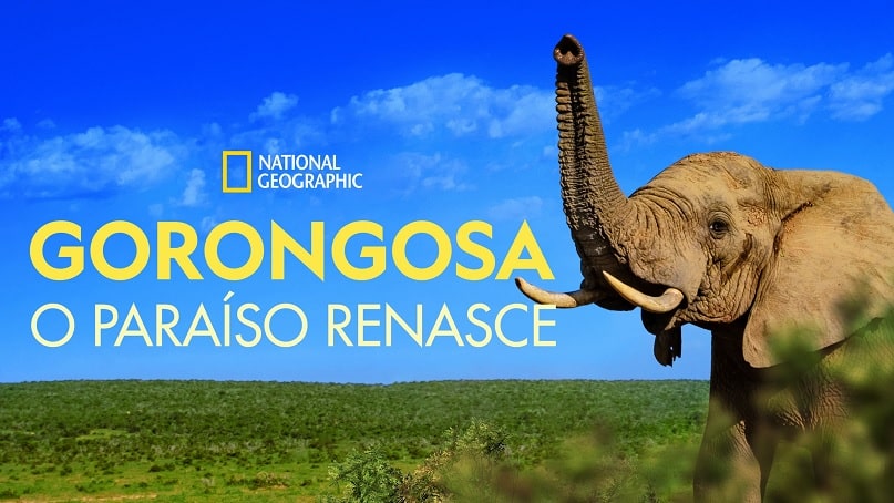 Gorongosa-O-Paraiso-Renasce Lançamentos do Disney+ em Abril de 2023 | Lista Atualizada