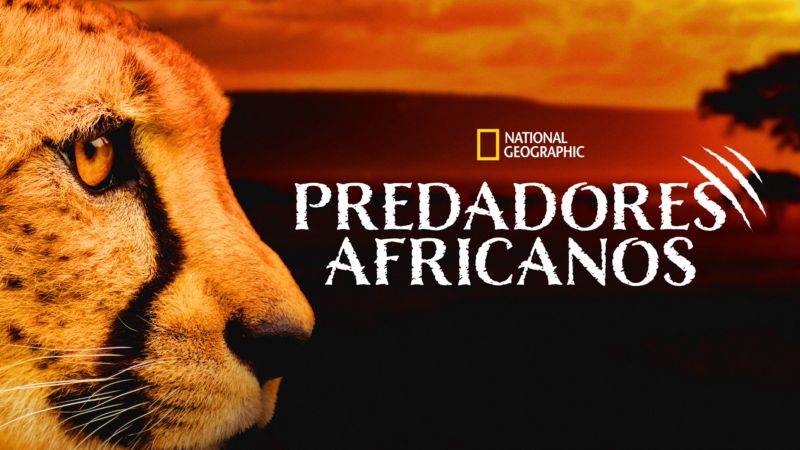 Predadores-Africanos-Star-Plus Grandes Expectativas, minissérie com Olivia Colman, estreou no Star+