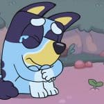 Criadores de Bluey anunciam suspensão da série animada