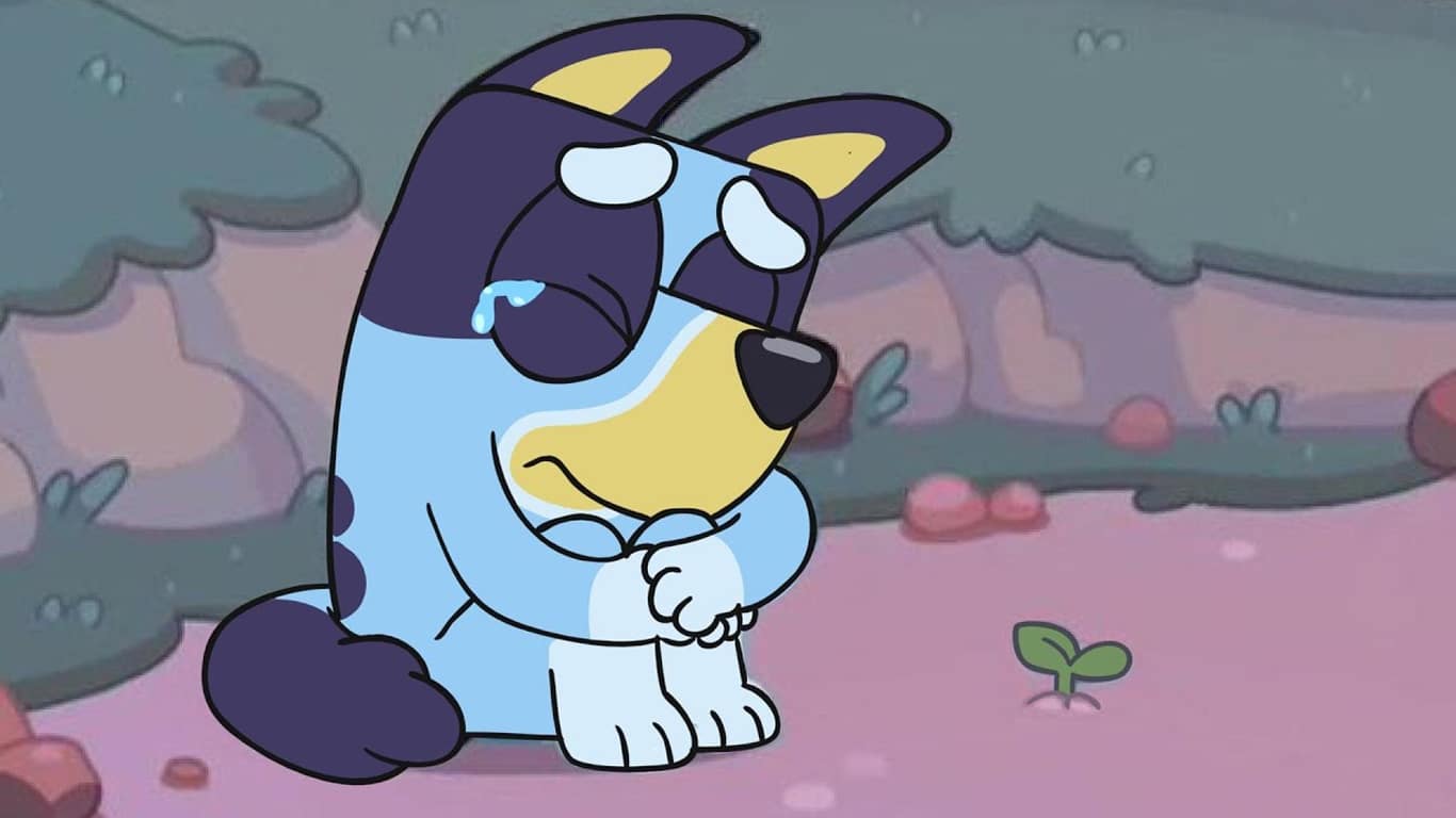 Bluey-chorando Criadores de Bluey anunciam suspensão da série animada
