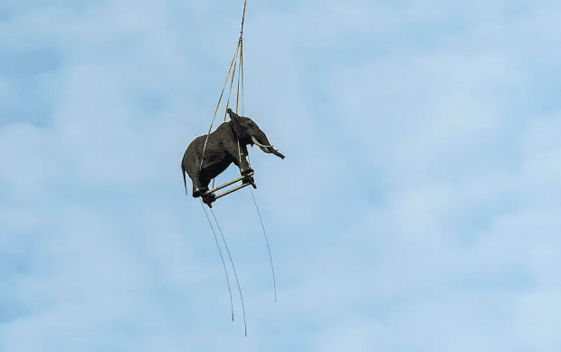 image-69 Visitantes da Disney se assustam com elefante pendurado em helicóptero