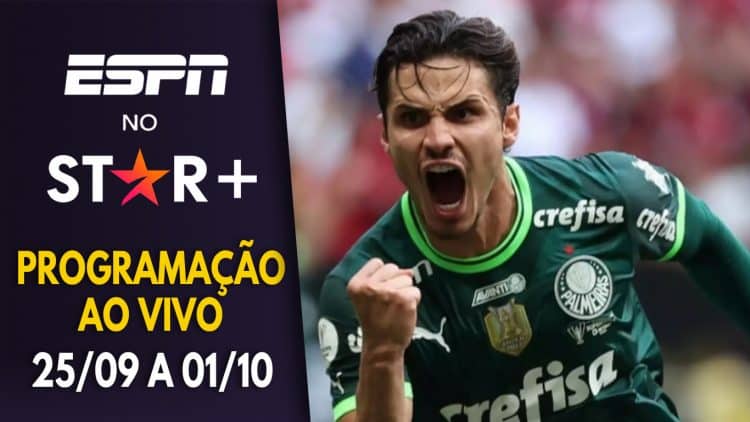 Com mais de 400 eventos ao vivo, ESPN e STAR+ exibem Libertadores, Europa  League e Clássico Inglês - ESPN MediaZone Brasil