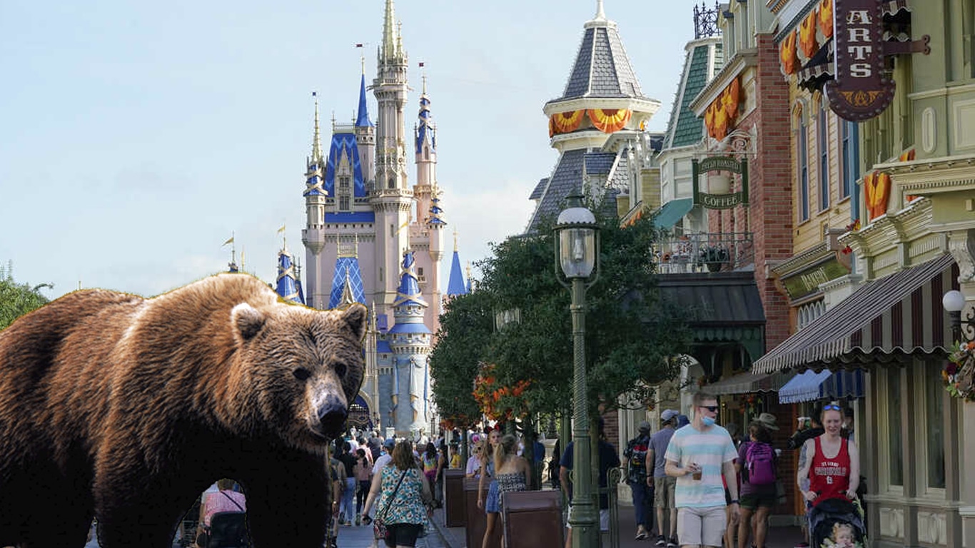Urso-na-Disney Urso invade a Disney e Magic Kingdom fecha mais de 10 atrações