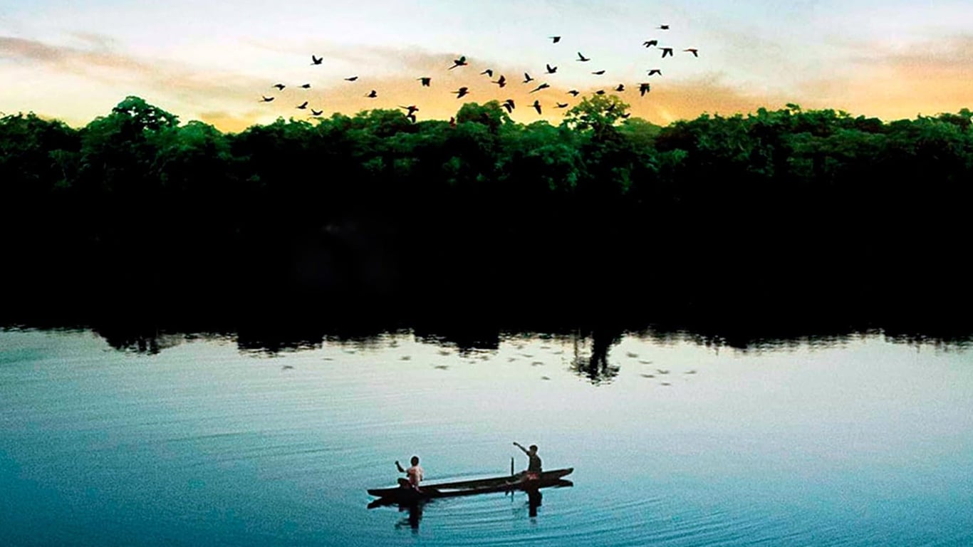 Amazonia-Eterna Disney+ remove premiado documentário sobre a Amazônia