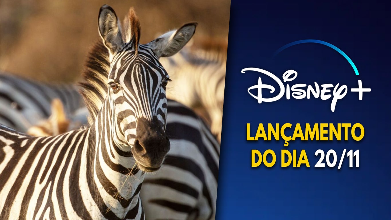 Lancamentos-do-dia-Disney-Plus-20-11-2023 Disney+ lança Animais em Movimento, com Jeremy Renner