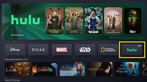 Hulu no Disney Plus