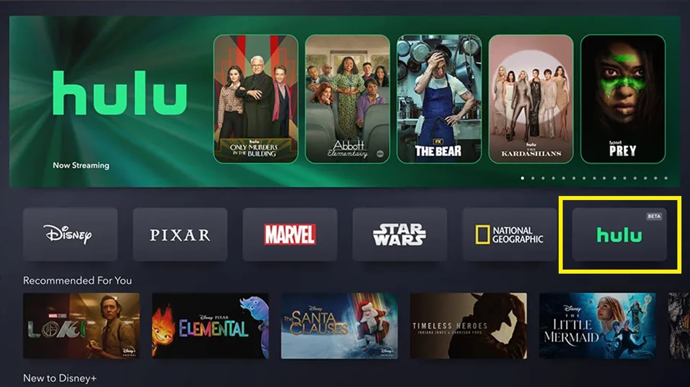 Hulu-no-Disney-Plus Disney+ estreia integração com o Hulu | Star+ é o próximo?