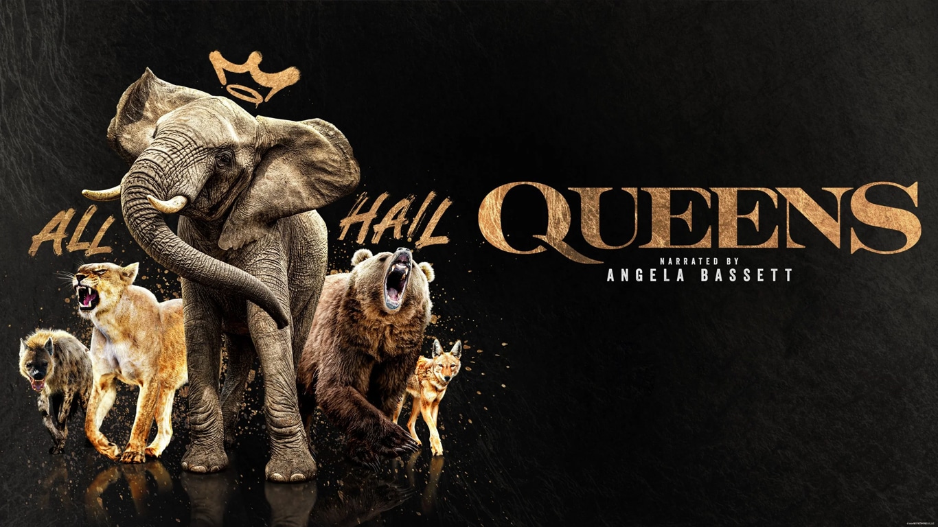 Queens-National-Geographic Rainhas do Reino Animal: Nat Geo lança trailer com Angela Basset