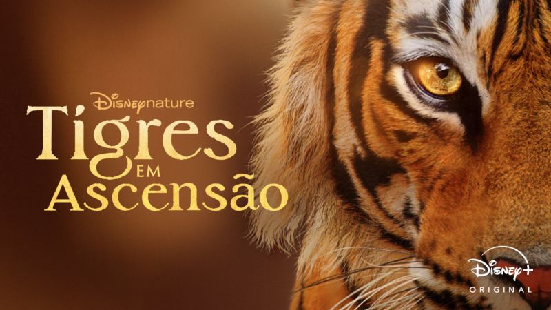 Tigres-em-Ascensao-Disney-Plus Disney+ lançou 3 novidades neste Dia da Terra 2024