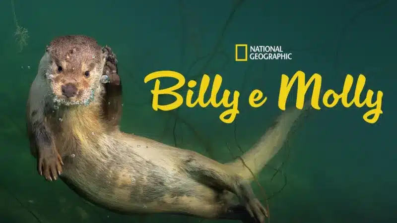 Billy-e-Molly Nat Geo lança novo documentário 'Billy e Molly' no Disney+