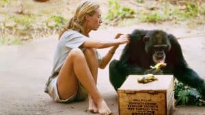 Dra. Jane Goodall